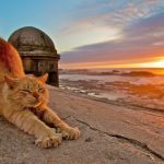 Prévisions météorologiques pour lundi 23 février 2026