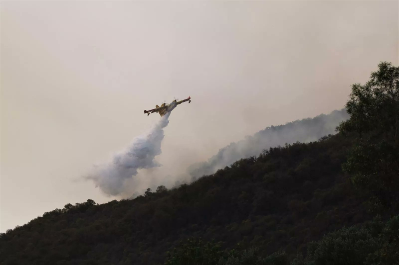 Tétouan: L’incendie de la forêt à Bni Hassan maîtrisé