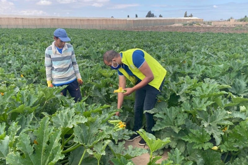 Le Maroc appelle à une coopération avec l’Europe et l’Afrique pour l’agriculture