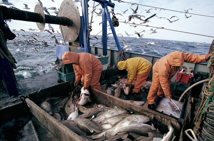 Le Conseil de Gouvernement approuve un projet de décret relatif aux navires de pêche maritime