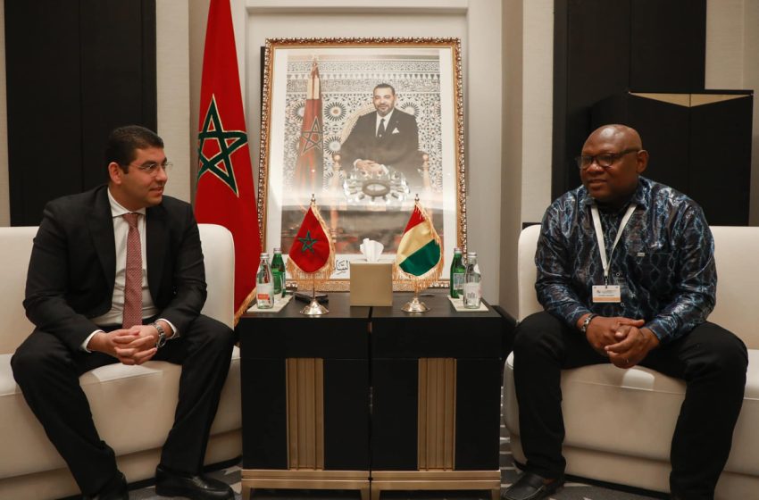  M. Bensaid s’entretient avec des ministres africains de la Culture