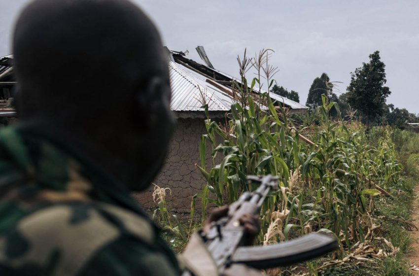 RDC: Au moins 9 morts dans l’attaque d’un village près