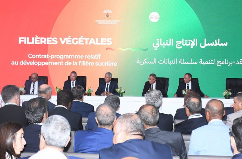 SIAM Maroc 2023: Remise des trophées de la qualité d’huile