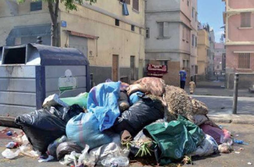Aid Al-Adha: Plus de 1.100 tonnes de déchets collectées à