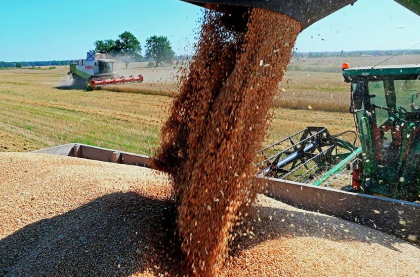 Blé tendre: une prime à l’importation pour 25 millions de quintaux entre juillet et septembre