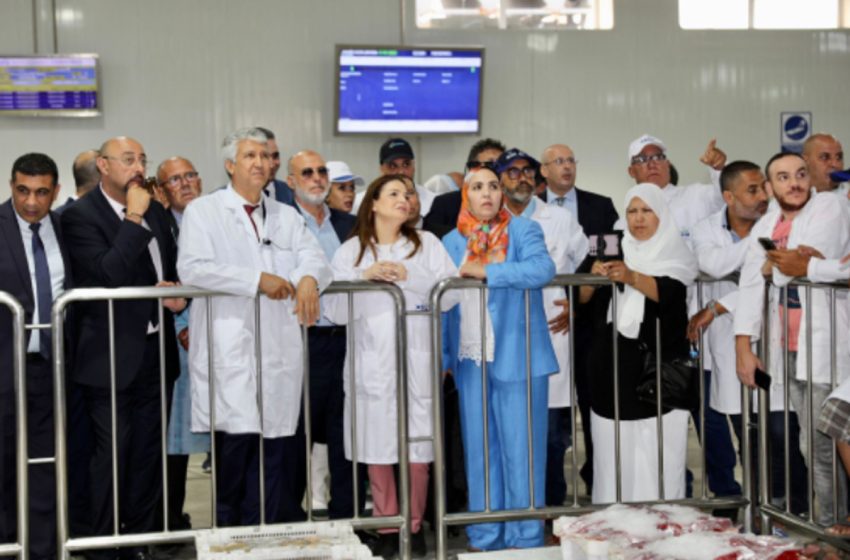  Tanger : M. Sadiki lance les travaux de construction de la première écloserie de poissons marins au Maroc