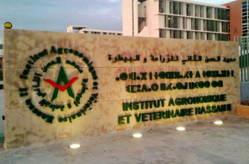  Le Conseil de gouvernement approuve un projet de décret fixant les durées des cycles de formation à l’IAV Hassan II