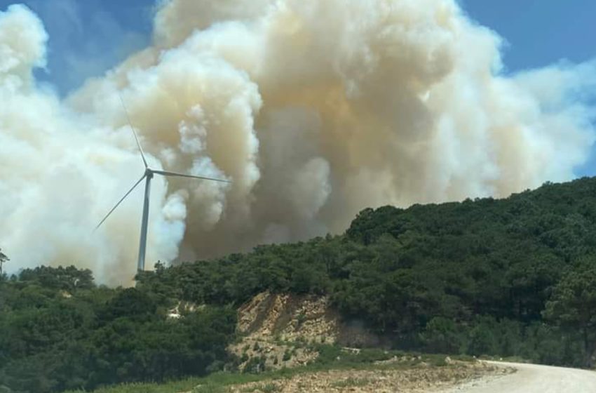  Fahs-Anjra: Les efforts se poursuivent pour maitriser un incendie de forêt à Taghramt