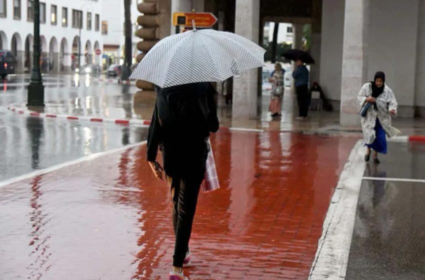  Bulletin d’alerte: Fortes pluies parfois orageuses mercredi dans certaines provinces