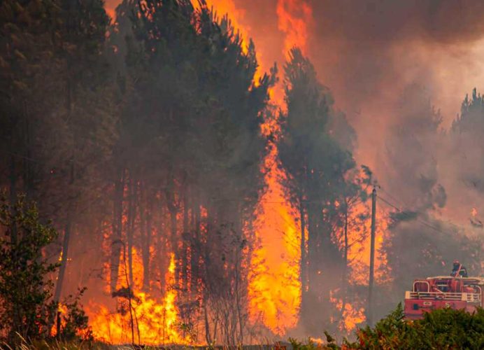 Incendies de forêts: L’ANEF entame la publication quotidienne de cartes précises des zones à risque