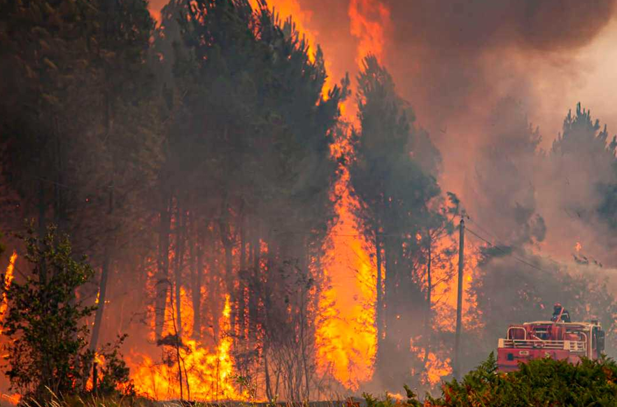 Incendies de forêts: L’ANEF entame la publication quotidienne de cartes précises des zones à risque