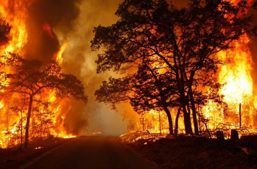  Afrique du Sud: un incendie de forêt ravage la province du Cap Nord