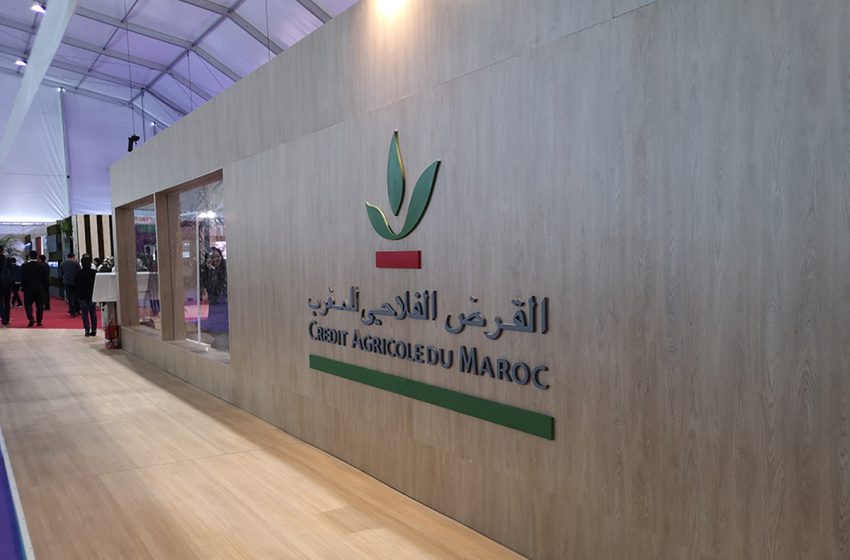 Crédit Agricole du Maroc : signature de 4 conventions avec l’AZIAN, la FNS, l’AMMG et l’APIC