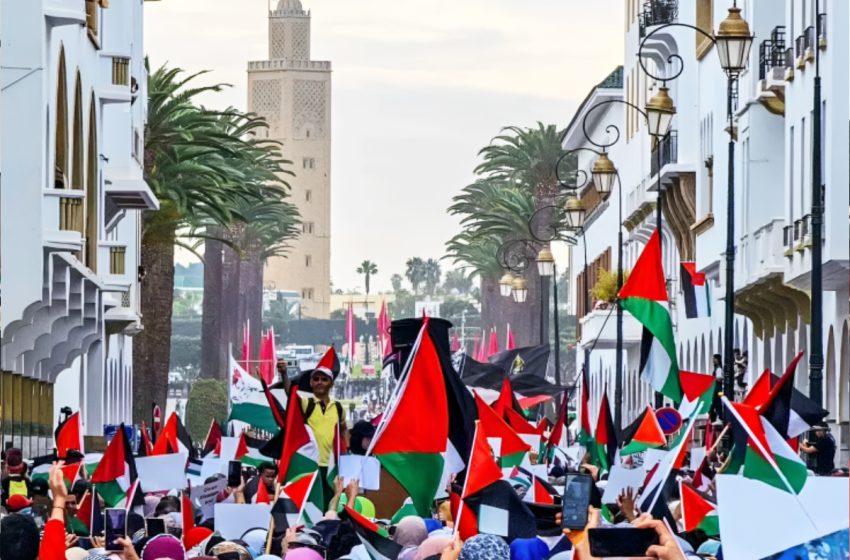  Marche de solidarité à Rabat avec le peuple palestinien