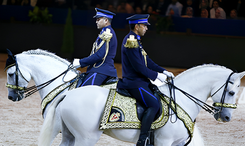 Salon du cheval d’El Jadida: Focus sur le rôle de la police montée dans la promotion du tourisme