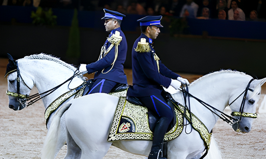  Salon du cheval d’El Jadida: Focus sur le rôle de la police montée dans la promotion du tourisme