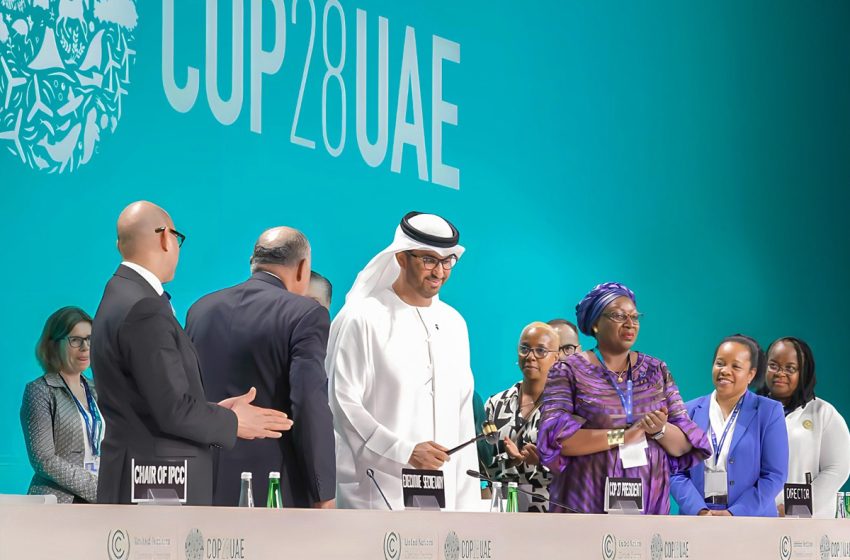 COP28 : L’UE et l’OEACP veulent accélérer l’action pour le