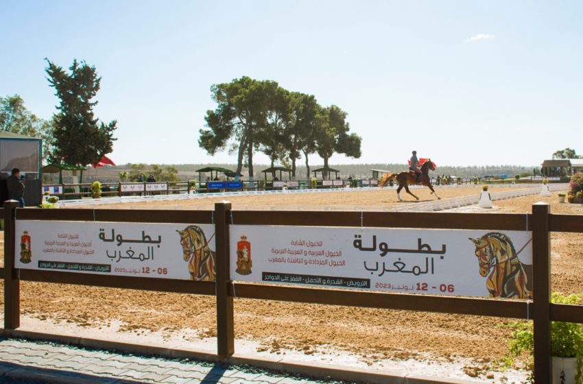  Championnat du Maroc de dressage: le lieutenant Adam Rharbal s’adjuge le titre