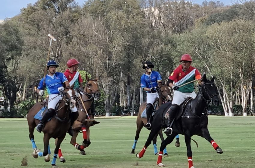  Coupe du Trône de polo : la 2ème édition du 14 au 19 novembre