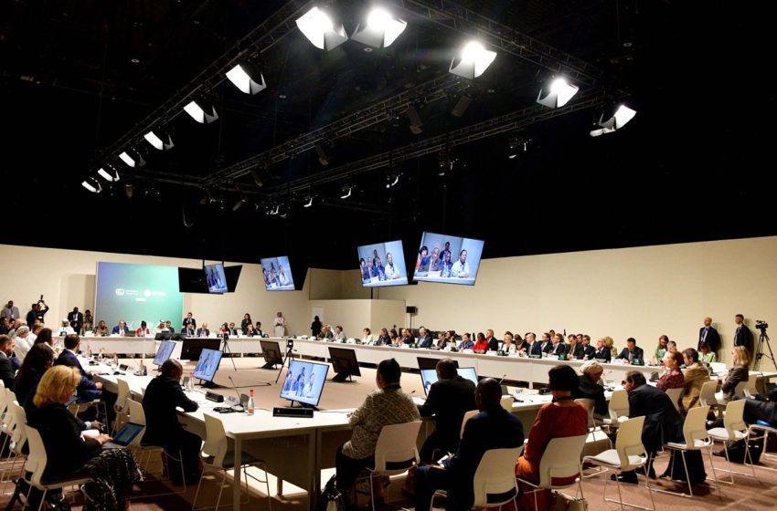 COP28: Le Bilan mondial, un tournant décisif dans la lutte
