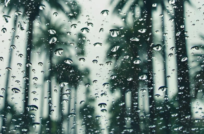 Hauteur de pluies durant les dernières 24h