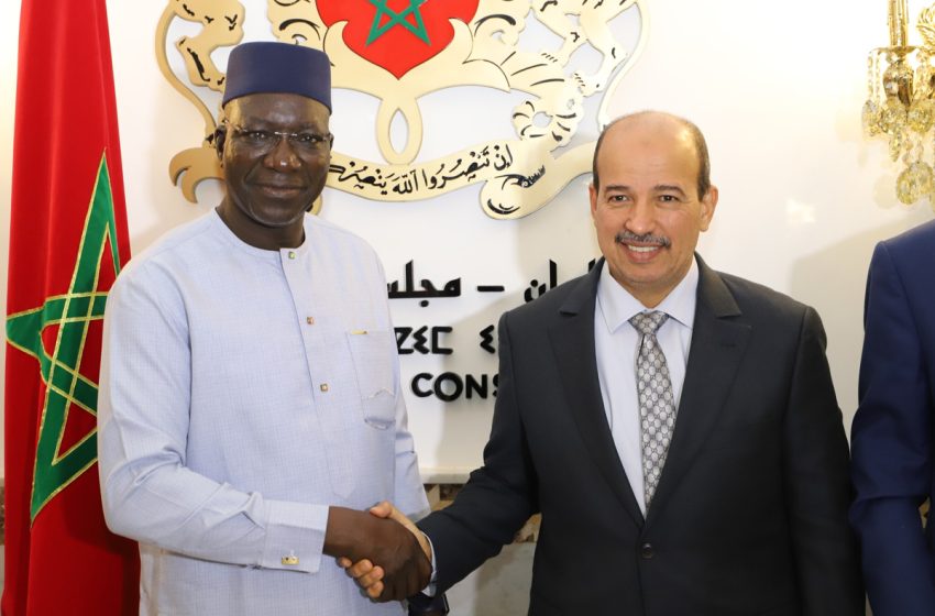  Mayara s’entretient avec le président du Conseil économique, social et environnemental du Mali