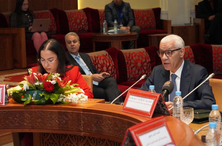 M. Talbi El Alami s’entretient à Rabat avec le DG de l’OIT