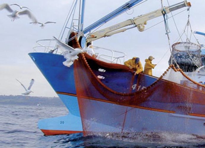 Pêche : repli de la valeur des produits commercialisés de 1% à fin mai (ONP)