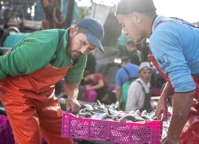 Le Maroc, une destination de chasse originale et enchanteresse (magazine français)