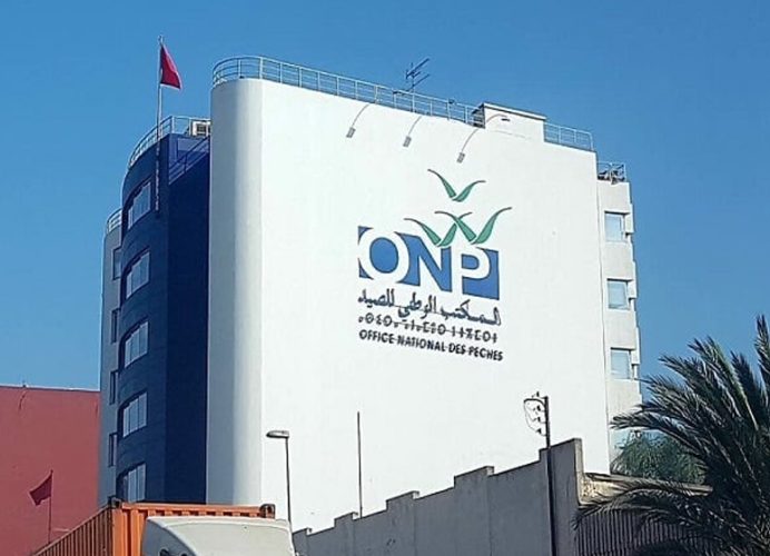 Port de Larache: Hausse de 7% des débarquements de pêche à fin novembre (ONP)