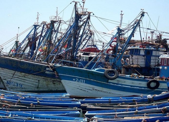 Port de Mehdia: les débarquements de pêche en baisse de 19% à fin novembre 2024