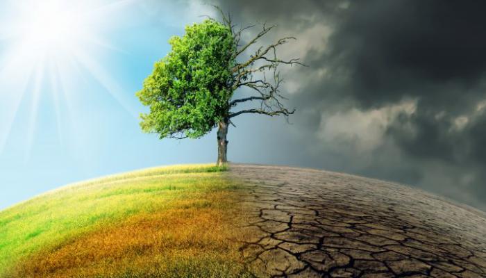 L’impact du changement climatique sur la biodiversité et les ressources
