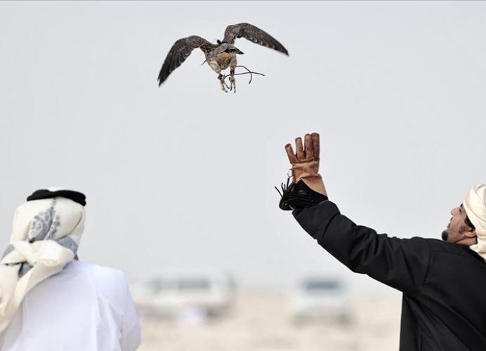 Festival international de fauconnerie et de chasse de Qatar: le Marocain Abdelkarim Ouasfi se qualifie pour la finale