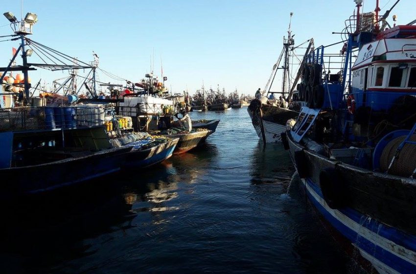 Port de Lassarga: Baisse de 2% des débarquements de pêche