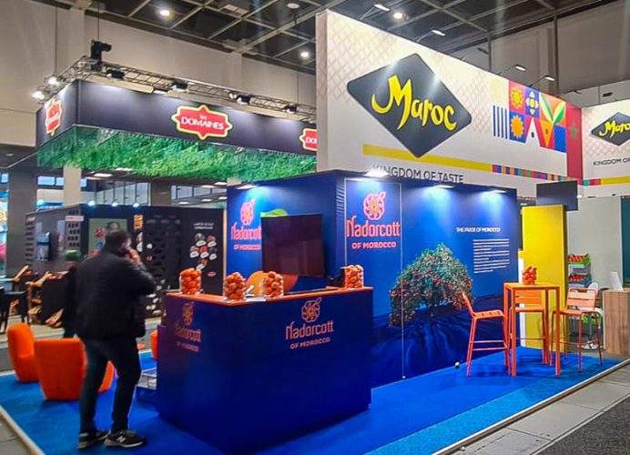 La Nadorcott, cette variété marocaine de mandarine, star du “Fruit Logistica” de Berlin