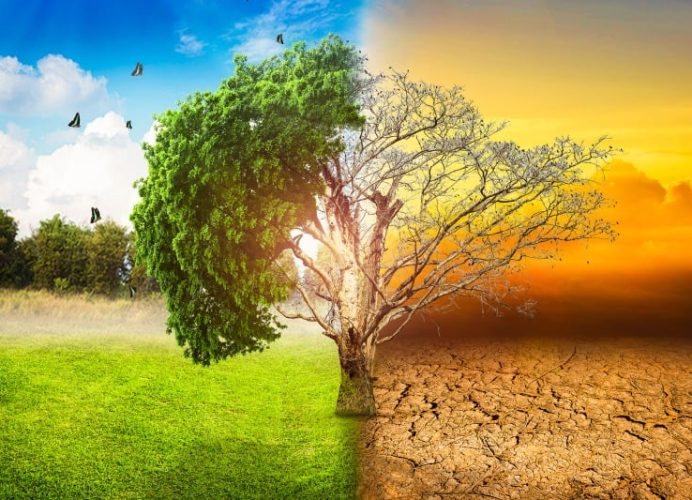 Rabat: Focus sur la contribution des collectivités territoriales africaines face aux défis climatiques