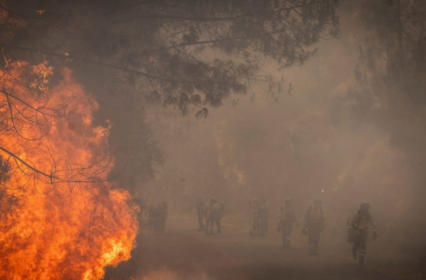 Espagne: 343.000 hectares partis en fumée depuis le début de l’année