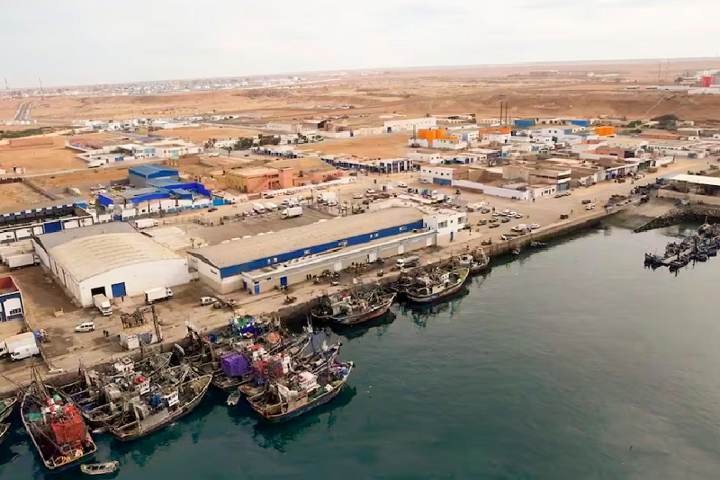 Port de Tan-Tan: Hausse de 112% des débarquements de la pêche à fin juillet (ONP)