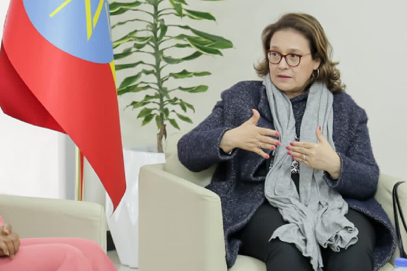  Addis-Abeba: mise en avant de l’engagement du Maroc en faveur de la promotion de la traduction et de la préservation de la diversité linguistique