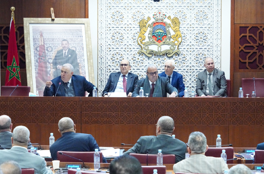  Chambre des représentants : adoption en commission de deux projets de loi relatifs aux partis politiques et aux listes électorales