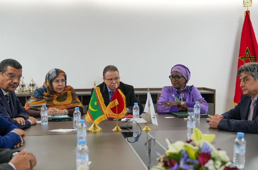 FM6SS/OMS: lancement d’un partenariat pour le renforcement du système de