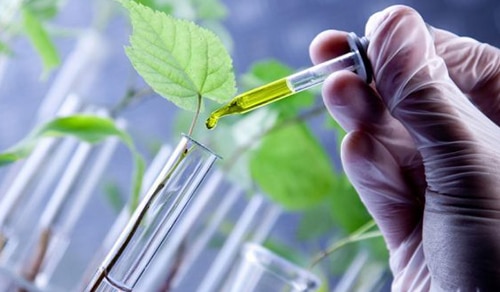 المغرب سيصبح منصة مستقبلية للتكنولوجيا الحيوية
