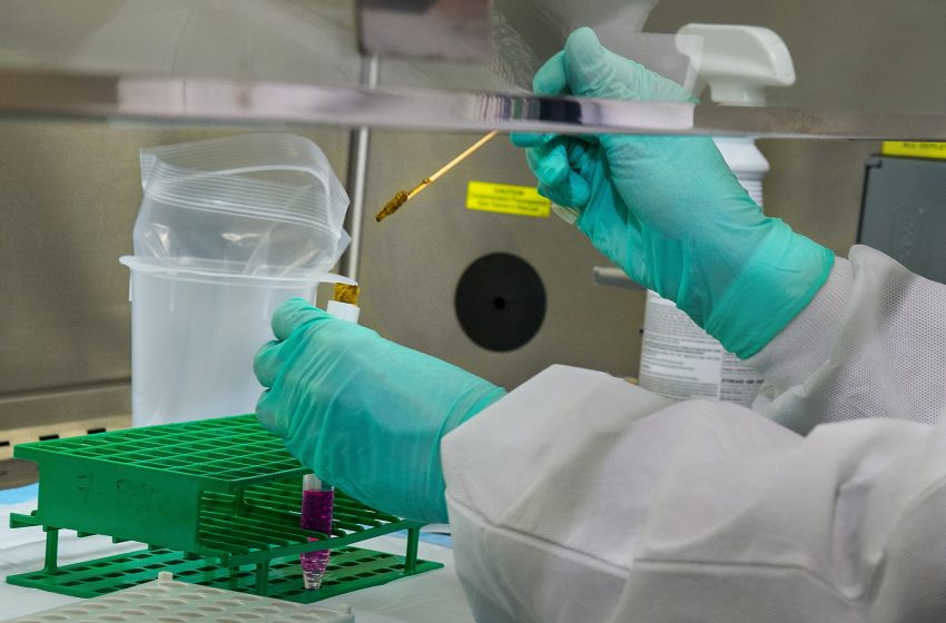 إجراء جديد لضمان موثوقية اختبارات عن كورونا بالمختبرات