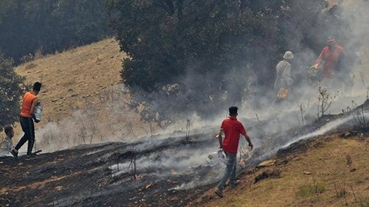 الجزائر: النجاح بإخماد جميع الحرائق في ولاية تيزي وزو