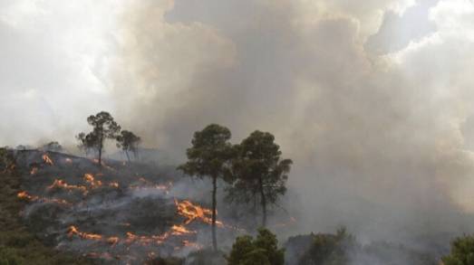 حرائق الغابات تودي بحياة 5 أشخاص بالجزائر