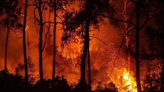  تركيا :فتح تحقيقات شاملة في أسباب حرائق الغابات