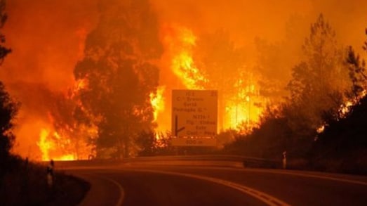 اندلاع حريق غابات في البرتغال