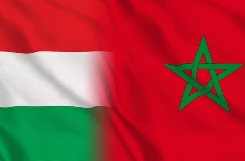  تعزيز التعاون العلمي بين المغرب وهنغاريا في المجال الطبي