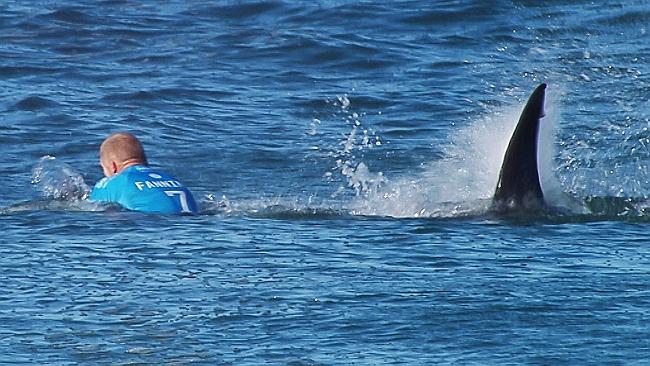 فقدان رجل إثر هجوم سمكتي قرش في أستراليا