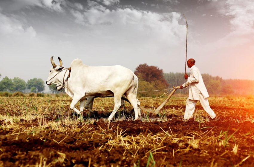  الهند : البرلمان يصادق على إلغاء قوانين الإصلاح الزراعي